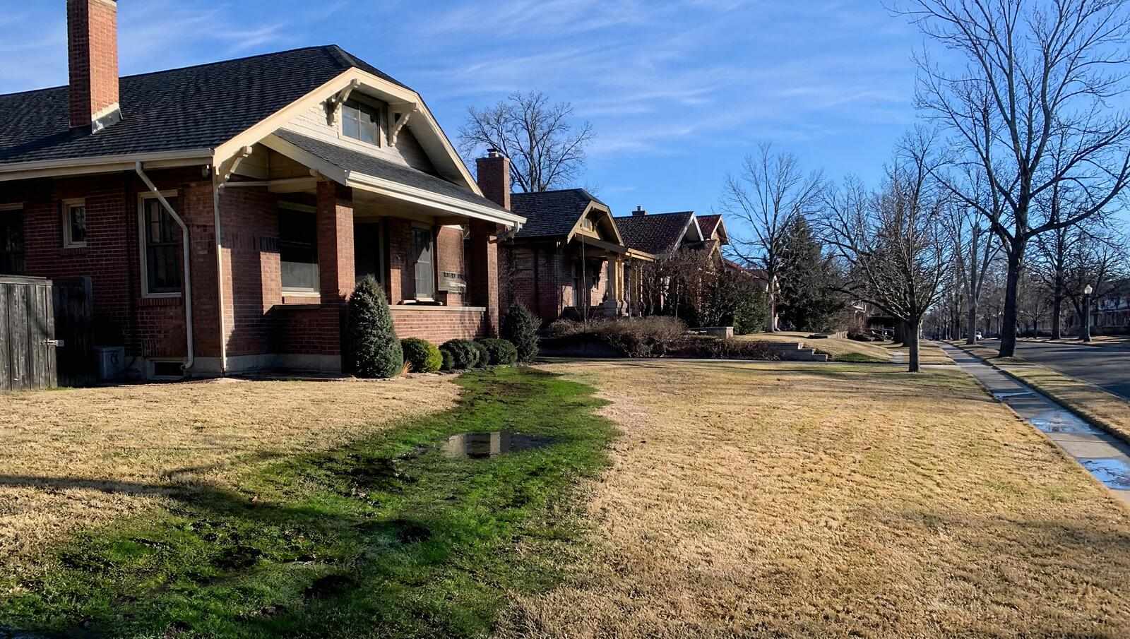 A strip of unnaturally green grass and a shallow water filled depression running from the foundation of a Denver bungalow toward the sidewalk, a common surface sign of a failing sewer lateral.